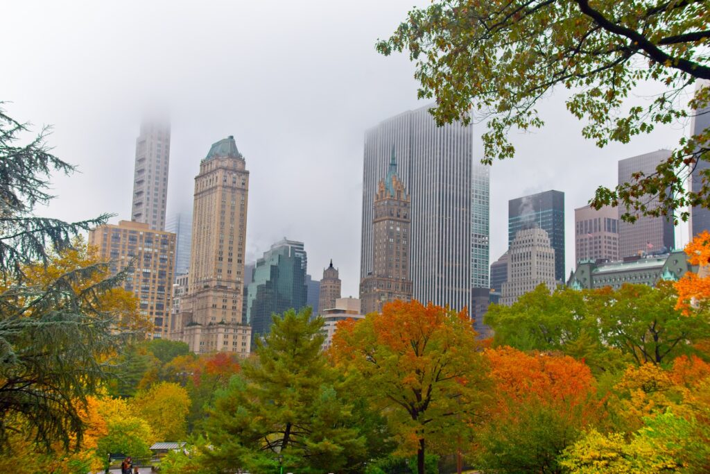 NYC during shoulder season. The leaves are changing colors.